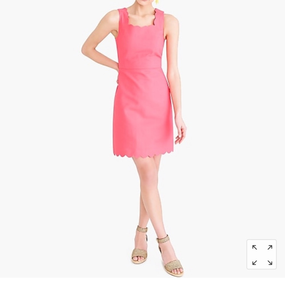 J. Crew Factory Dress